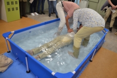 Doop Senna Akergemeente